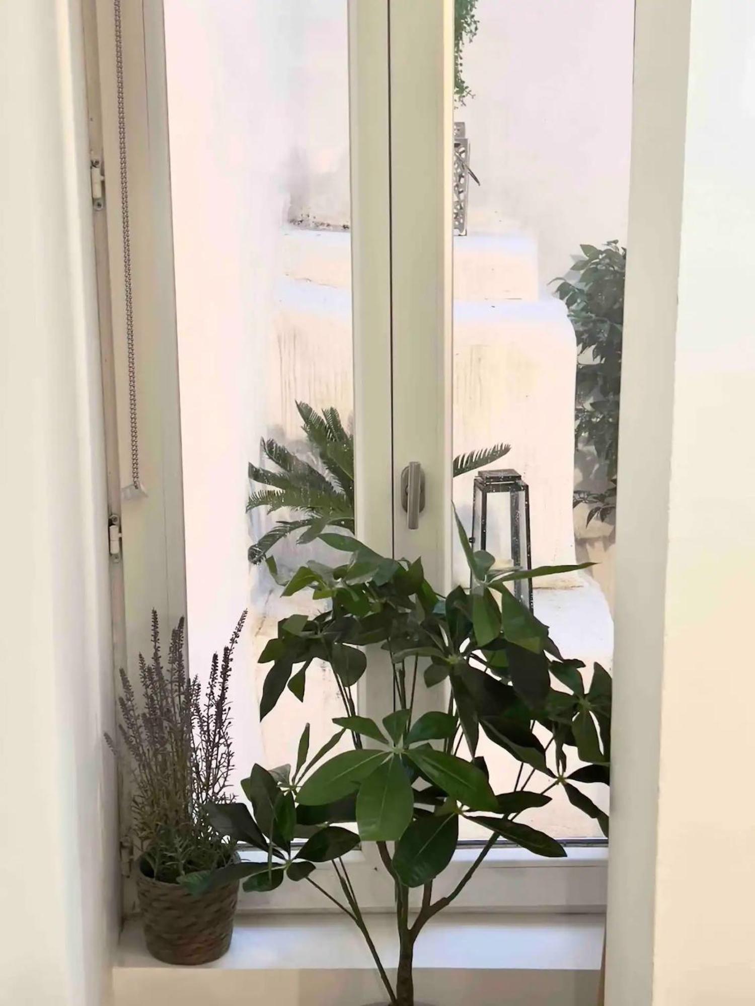 Le Petit Patio Daire Aix-en-Provence Dış mekan fotoğraf